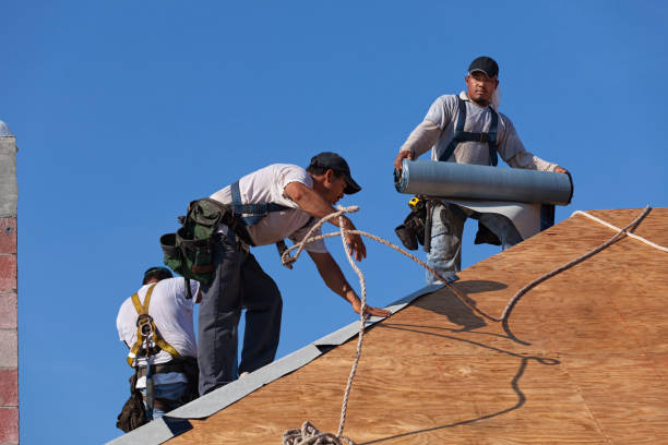 Best Gutter Installation and Roofing  in South Henderson, NC