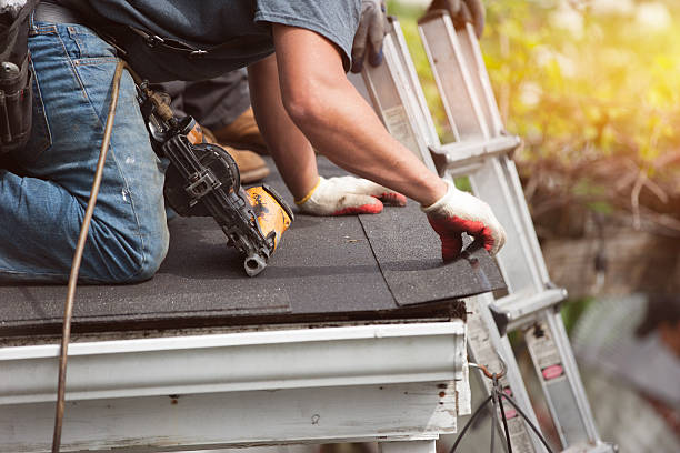 Best Roof Gutter Cleaning  in South Henderson, NC